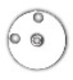 SIRUBA BAR TACK (2 мм) Круглая игольная пластина (E141)